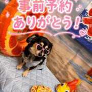 ヒメ日記 2026/08/06 11:18 投稿 しぐれ タレント倶楽部アダルト