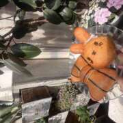 ヒメ日記 2025/04/05 18:39 投稿 水城あかね AJ DOLLS(エージェイドールズ)