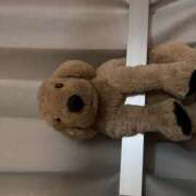 ヒメ日記 2025/09/26 17:12 投稿 水城あかね AJ DOLLS(エージェイドールズ)