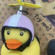 ヒメ日記 2025/05/23 08:58 投稿 ちえり ミセスハンドセラピー