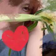 ヒメ日記 2025/07/17 17:13 投稿 ちえり ミセスハンドセラピー