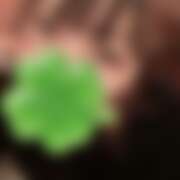 ヒメ日記 2025/12/20 23:13 投稿 ちえり ミセスハンドセラピー