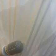 ヒメ日記 2025/09/08 00:06 投稿 みなみ ぽっちゃりきぶん