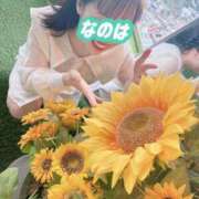 ヒメ日記 2025/03/06 00:22 投稿 なのは ノーパンエステ!?絶頂させる天使たち