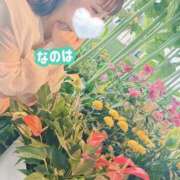ヒメ日記 2025/06/18 13:08 投稿 なのは ノーパンエステ!?絶頂させる天使たち