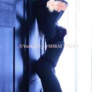 ヒメ日記 2025/03/20 15:00 投稿 桜田ゆいか MIRAI TOKYO 六本木店