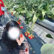 ヒメ日記 2025/03/06 18:45 投稿 あいす Gossip girl成田店