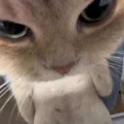 ヒメ日記 2025/07/25 16:42 投稿 てぃす OKINI立川