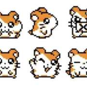 ヒメ日記 2025/07/11 11:58 投稿 てぃす OKINI八王子