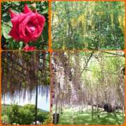 ヒメ日記 2025/05/06 18:15 投稿 安室★ Club夢