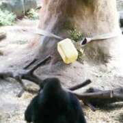 ヒメ日記 2025/09/23 17:15 投稿 安室★ Club夢