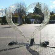 ヒメ日記 2025/11/10 20:15 投稿 安室★ Club夢