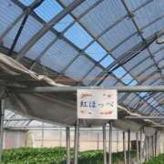 ヒメ日記 2026/01/15 14:15 投稿 安室★ Club夢