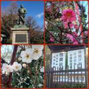 ヒメ日記 2026/01/31 21:15 投稿 安室★ Club夢