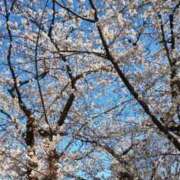 ヒメ日記 2026/03/31 10:30 投稿 安室★ Club夢