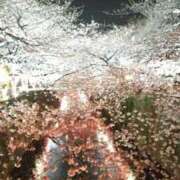 ヒメ日記 2026/04/03 21:15 投稿 安室★ Club夢