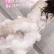 ヒメ日記 2025/04/10 08:54 投稿 かぐら チューリップ姫路店