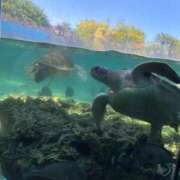 ヒメ日記 2025/10/17 12:16 投稿 湊さゆり 皇帝別館（こうていべっかん）