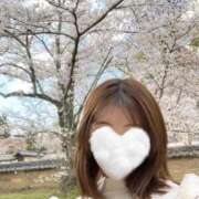 湊さゆり (去年、見に行った桜🌸) 皇帝別館（こうていべっかん）