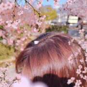 ヒメ日記 2025/04/15 16:53 投稿 みほ 豊満奉仕倶楽部