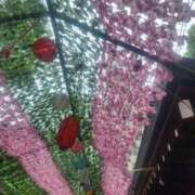 ヒメ日記 2025/05/23 11:29 投稿 みほ 豊満奉仕倶楽部