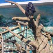 ヒメ日記 2025/11/23 11:09 投稿 みほ 豊満奉仕倶楽部