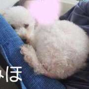 ヒメ日記 2026/01/16 02:49 投稿 みほ 豊満奉仕倶楽部