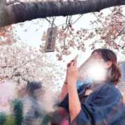 ヒメ日記 2026/04/10 13:34 投稿 みほ 豊満奉仕倶楽部