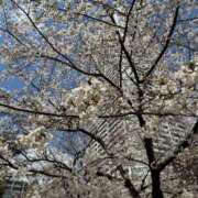 ヒメ日記 2025/04/04 10:19 投稿 じゅり 豊満奉仕倶楽部