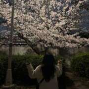 ヒメ日記 2025/04/06 19:59 投稿 じゅり 豊満奉仕倶楽部