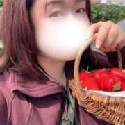 ヒメ日記 2026/04/03 16:09 投稿 じゅり 豊満奉仕倶楽部