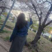 ヒメ日記 2025/04/09 17:07 投稿 ななせ 豊満奉仕倶楽部