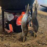 ヒメ日記 2026/02/28 17:59 投稿 ゆな 豊満奉仕倶楽部