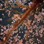 ヒメ日記 2026/04/10 23:48 投稿 ゆな 豊満奉仕倶楽部