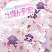 ヒメ日記 2025/04/06 18:29 投稿 あやな 豊満奉仕倶楽部