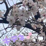 ヒメ日記 2026/03/28 16:49 投稿 あやな 豊満奉仕倶楽部