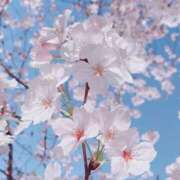 ヒメ日記 2025/04/04 21:43 投稿 そな 人妻熟女奉仕倶楽部