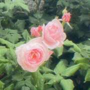 ヒメ日記 2025/05/09 18:30 投稿 そな 人妻熟女奉仕倶楽部