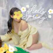 ヒメ日記 2026/04/17 22:27 投稿 そな 人妻熟女奉仕倶楽部