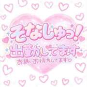 ヒメ日記 2026/09/07 12:30 投稿 そな 人妻熟女奉仕倶楽部