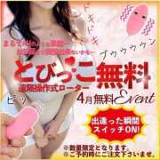 ヒメ日記 2026/04/02 23:00 投稿 みき 人妻熟女奉仕倶楽部