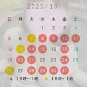 ヒメ日記 2025/10/01 12:40 投稿 ひなの 人妻熟女奉仕倶楽部