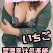 ヒメ日記 2025/04/24 11:20 投稿 いちご 人妻熟女奉仕倶楽部