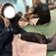 ヒメ日記 2025/07/10 14:08 投稿 すずな 人妻熟女奉仕倶楽部