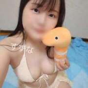 ヒメ日記 2025/08/29 12:50 投稿 すずな 人妻熟女奉仕倶楽部