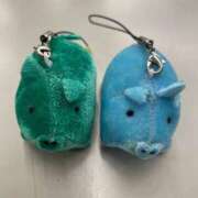 ヒメ日記 2025/03/06 09:01 投稿 立花るる ヌルテカ