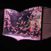 ヒメ日記 2025/04/14 16:01 投稿 立花るる ヌルテカ