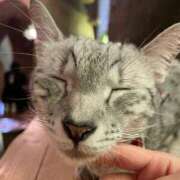 ヒメ日記 2025/05/05 11:31 投稿 立花るる ヌルテカ