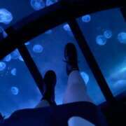 ヒメ日記 2025/05/27 10:02 投稿 立花るる ヌルテカ