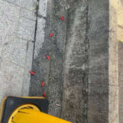 ヒメ日記 2025/03/08 12:07 投稿 にこら ハピネス＆ドリーム 松山道後温泉